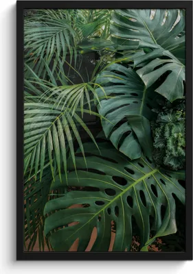 Produktbild von MuchoWow® MuchoWow® Gerahmtes Poster Pflanzen - Dschungel - Blätter - Tropisch 40x60 cm - Poster mit zchwarzem Bilderrahmen - Papierdruck - Wandbilder