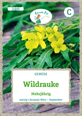 Produktbild von Grüne Fee - Wildrauke Mehrjährig würzig Samen - 11495