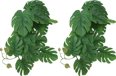 Obrázok produktu pre 2PCS Umelé vodné rastliny Simulácia Vine Lifelike plastové listy dekorácie s prísavkou pre Fish TankMonstera listy