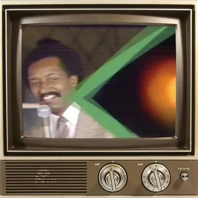 Produktbild von Various-The Chicago Party