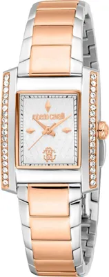 Produktbild von Uhren Roberto Cavalli RC5L120M0105