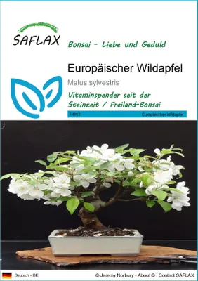Produktbild von SAFLAX - Bonsai - Europäischer Wildapfel - 30 Samen - Malus sylvestris