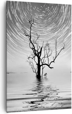 Produktbild von Bild auf Leinwand - Leinwandbild - Einteilig - Schwarzweiß Baum See - 80x120cm - Wand Bild - Wanddeko - Wandbilder - Leinwanddruck - Wanddekoration - Leinwand bilder - Wandbild - PA80x120-4253