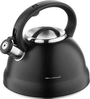 Productafbeelding van FLORINA waterkoker (2,5 liter) | RVS theepot JACOB | Fluitketel met bakelieten handvat en fluittoon | Theekoker voor thee en koffie | Geschikt voor alle soorten fornuizen | Kleur: Zwart
