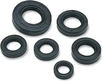 Obrázek produktu pro Sada motorových těsnění WINDEROSA W822257
