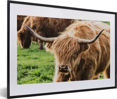 Produktbild von MuchoWow® Gerahmtes Poster Schottische Highlander - Tiere - Gras 60x40 cm - Poster mit Schwarzem Bilderrahmen Wandposter Rahmen Foto Bilder - Schlafzimmer - Plakat in Rahmen - Drucken