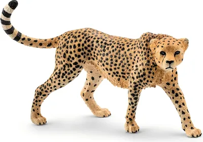 Immagine prodotto di SCHLEICH 14746 Ghepardo, da 3 anni, WILD Life - figura di gioco