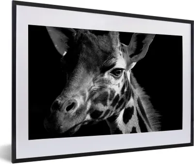 Produktbild von MuchoWow® Gerahmtes Poster Giraffe auf schwarzem Hintergrund - schwarz und weiß 60x40 cm - Poster mit Schwarzem Bilderrahmen Wandposter Rahmen Foto Bilder - Schlafzimmer - Plakat in Rahmen - Drucken