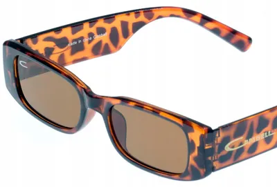 Image de Lunettes de soleil Cambell 2024 style nerdy marron avec étui