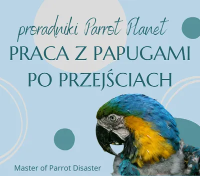 Zdjęcie produktu dla Poradnik ParrotPlanet - PRACA Z PAPUGAMI PO PRZEJŚCIACH - Poradnik Początkującego Papuziarza