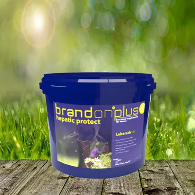 Zdjęcie produktu dla Brandon plus hepatic protect 3 kg