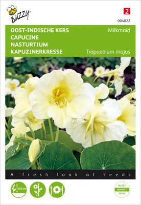 Produktbild von Kapuzinerkresse Milkmaid | Kapuzinerkressesamen von Buzzy Seeds
