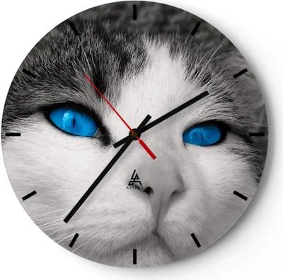 Produktbild von Wanduhr - Rund - Glasuhr - Katze Tiere blaue Augen - 30x30cm - Schleichendes Uhrwerk - Lautlos - zum Aufhängen bereit - Dekoration Modern - Wanddekoration aus Glas - C3AR30x30-1144