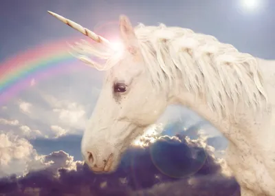 Produktbild von Fototapete Vlies 22773 Unicorn Rainbow 10-tlg. 500 x 280 cm