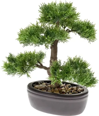 Produktbild von Emerald Kunstpflanze Bonsai Zeder Grün 32 cm 420001