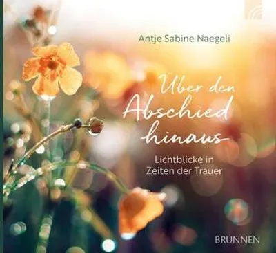 Produktbild von Über den Abschied hinaus