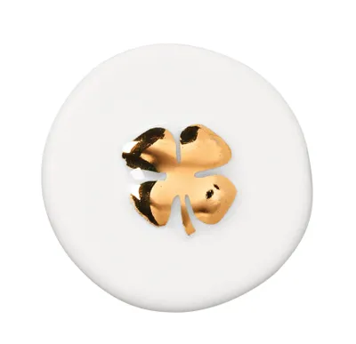 Produktbild von Räder Design Glücksmünze Herzstücke Kleeblatt Weiß-Gold (2-teilig)