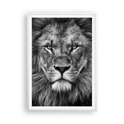 Produktbild von Gerahmtes Poster - Weißer Rahmen - Porträt Löwe Schwarzweiß - 70x100 cm - Wand Bild - Wanddeko - Wandbilder - Kunstposter - Wandposter - Bilderrahmen - Bilder - Kunstdruck - P2WPA70x100-4494