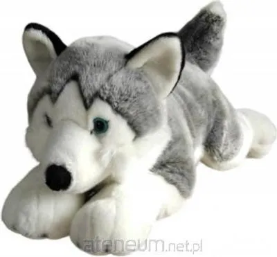 Produktbild von Plüschhund Husky 62 cm