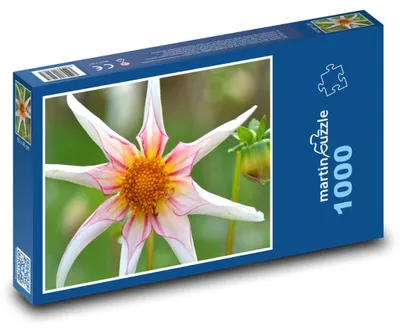 Zdjęcie produktu dla martinpuzzle - Puzzle 1000 - Jiřina - kwiat