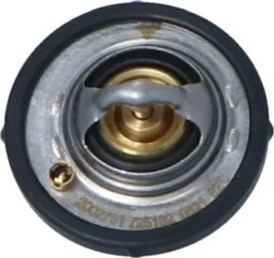 Zdjęcie produktu dla Termostat Ford 74C Focus 98-