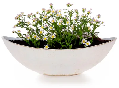 Obrázok produktu pre Oválny kvetináč, 34 cm
