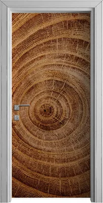 Produktbild von Tür Selbstklebende 90x210 cm Türfolie Türtapete Klebefolie - Holz Stamm