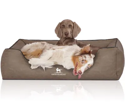 Produktbild von Knuffelwuff Hundebett Scottsdale aus Kunstleder XXL 120 x 85cm Stone