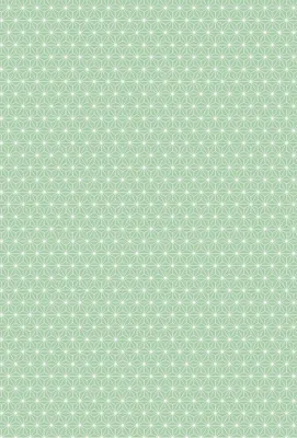Produktbild von HEYDA 204771763 Motivkarton Starlight 50 x 70 cm mint