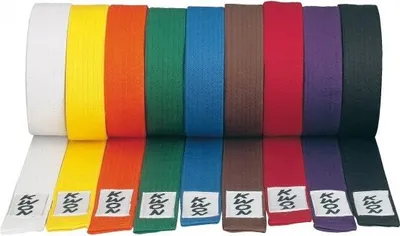 Produktbild von KWON Budogürtel 320 weiß