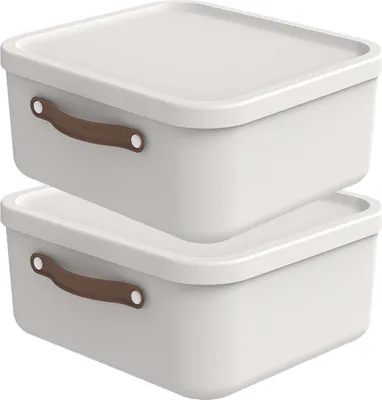 Produktbild von Rotho 2er-Set Aufbewahrungsbox 20 L Maloja - Kunststoffbox mit Deckel - Stapelbox 39,5 x 38,0 x 17,7 cm - Plastikbox Ordnungsbox Allzweckkiste