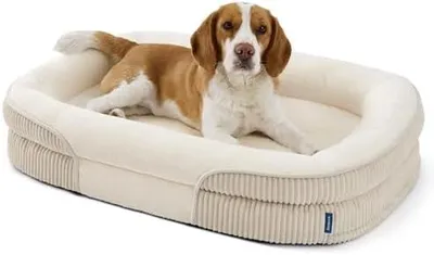 Produktbild von BEDSURE orthopädisches Hundebett mittelgroße Hunde, 89x64x18cm, Creme | 360° ovales Hundesofa mit erhöhtem Rand für Senioren, wasserdichter und waschbarer Bezug, aus ultraweichem Fleece, stützendes