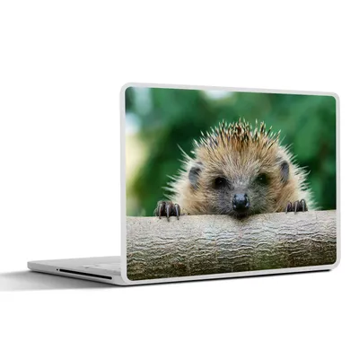 Produktbild von MuchoWow® Laptop Aufkleber Sticker Cover Igel beißt Holz 31x22.5 cm - Laptop-Deko
