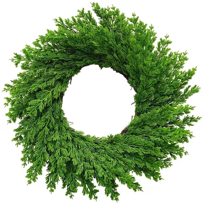 Immagine prodotto di artificiale, 50 cm, pino Norfolk verde, adatta per interni ed esterni