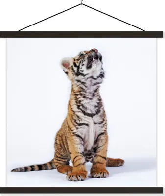 Produktbild von MuchoWow® Textilposter Tiger - Jungtier - Weiß 60x60 cm mit schwarzem Rahmen - Posteraufhänger