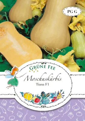 Produktbild von Grüne Fee - Moschuskürbis Tiana F1 Samen - 11748