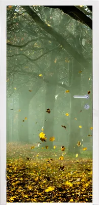 Produktbild von MuchoWow® Türtapete Selbstklebende Türfolie Baum - Grün - Blätter 85x215 cm Türposter Türaufkleber Klebefolie Türklebefolie - Aufkleber für türen - Türplakat - Dekoration