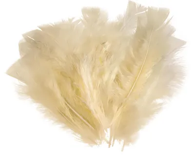 20 Natur-Putenfedern, 11-17cm, Farbwahl, unterschiedliche Farben - DIY Deko Federn creme