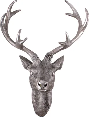 Produktbild von Hirschgeweih 10 Ender - Wand Deko in Silber Optik 40x30 cm - Hirschkopf Skulptur Jagd Geweih