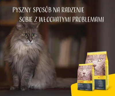 Produktbild von JOSERA Catelux (1 x 10 kg) | Adult | Premium Trockenfutter für ausgewachsene anspruchsvolle Katzen | Ente & Kartoffel | weizenfrei | mit diätische Fasern gegen Haarballen | Katzenfutter | 1er Pack