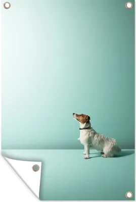 Produktbild von MuchoWow® 80x120 cm Outdoor-Poster Gartendeko Sichtschutz Garten Poster für den Garten  Hund schaut auf