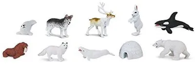 Produktbild von Safari - 764504 - Arktis Set, 48 Figuren, PVC, 4cm - 7,5cm