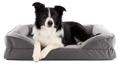 Immagine prodotto di Lettino per cani Lumaland In-& Outdoor M 90x65x9cm grigio