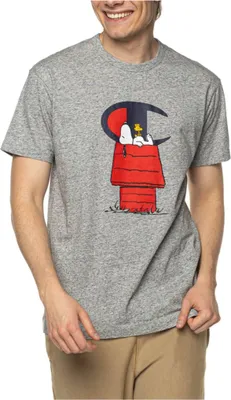 Produktbild von Champion Tshirts X Peanuts, 217808T066GREY, Größe: 173