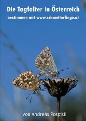 Produktbild von Die Tagfalter Österreichs bestimmen