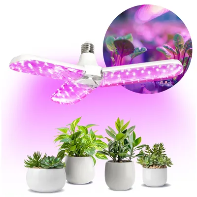 A plant grow light bulb is shown above several potted plants, with a circular inset image of plants under grow lights.
