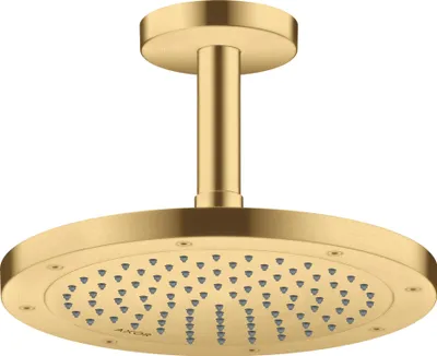 Immagine prodotto di hansgrohe AXOR ShowerSolutions Raccordement au plafond 100 mm, 26432250, 26432250