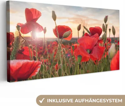 Produktbild von MuchoWow® - Leinwandbilder - Sonnenuntergang hinter den schönen Mohnblumen, Wandbild, Wanddeko Bilder Wohnzimmer, 80x40 cm