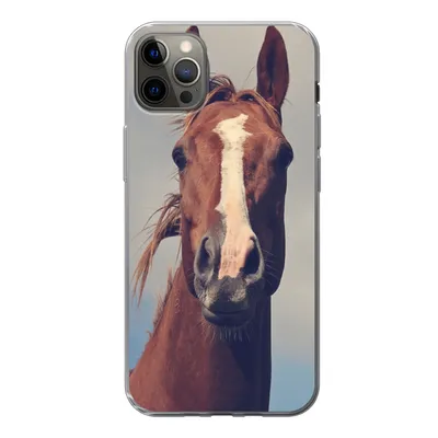 Produktbild von MuchoWow® Handyhülle Schutzhülle Hülle für iPhone 13 Pro Max Pferd - Wolken - Porträt Silikon Softcase Handy Hülle - Mobiltelefon