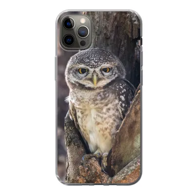 Produktbild von MuchoWow® Handyhülle Schutzhülle Hülle für iPhone 12 Pro Max Eule - Baum - Wald Silikon Softcase Handy Hülle - Hartschale